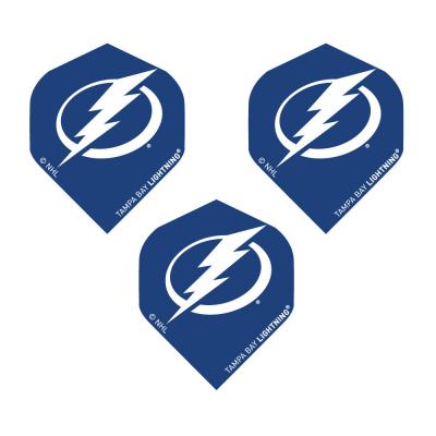 Tampa Bay Lightning Standard 8726