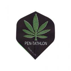Pentathlon Standard 1621