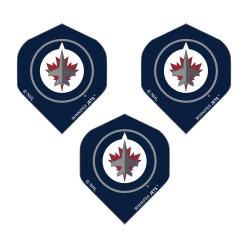 Winnipeg Jets Standard 8731