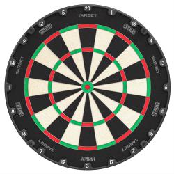 Aspar Professional Dartboard
